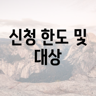 신청 한도 및 대상