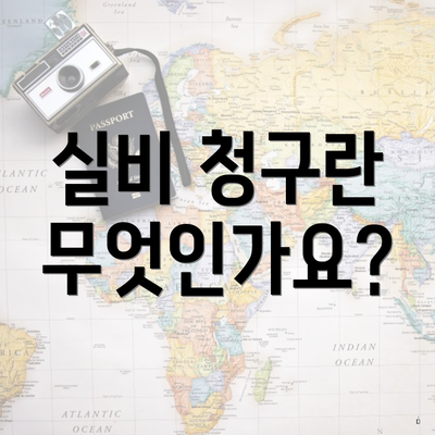 도수치료 실비 청구 4 실비 청구란 무엇인가요?