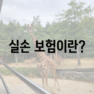 실손 보험이란?