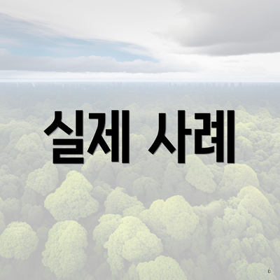 실제 사례