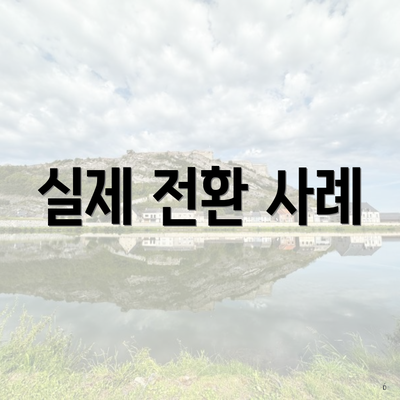 실제 전환 사례