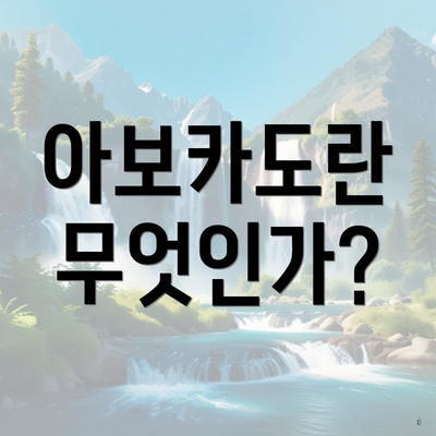 아보카도란 무엇인가?