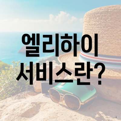 엘리하이 서비스란?