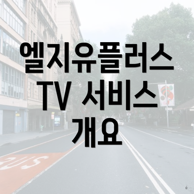 엘지유플러스 TV 서비스 개요