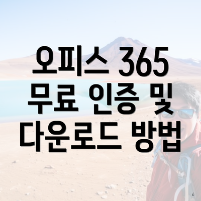 오피스 365 무료 인증 및 다운로드 방법