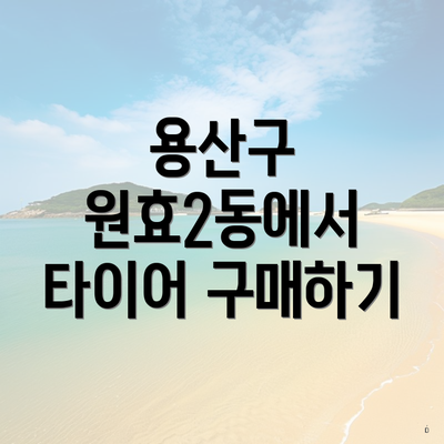 용산구 원효2동에서 타이어 구매하기