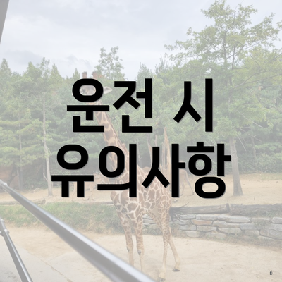 운전 시 유의사항