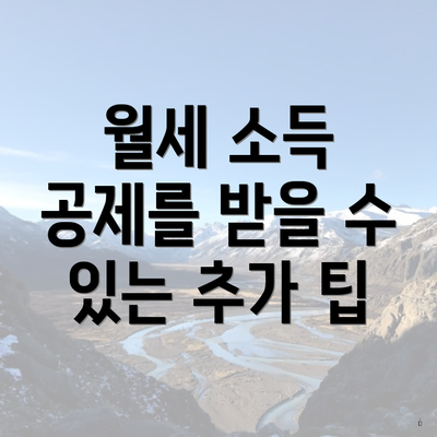 월세 소득 공제를 받을 수 있는 추가 팁