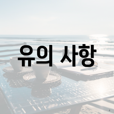 유의 사항
