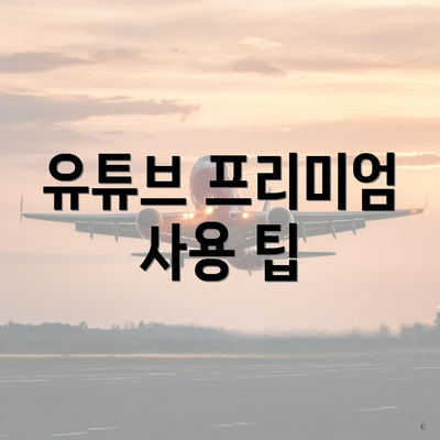 유튜브 프리미엄 사용 팁