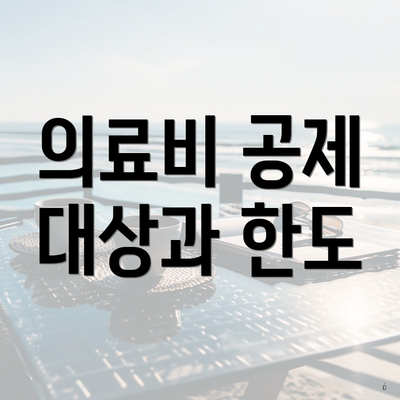의료비 공제 대상과 한도