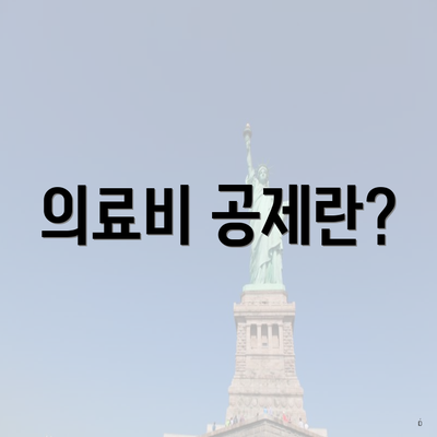 의료비 공제란?