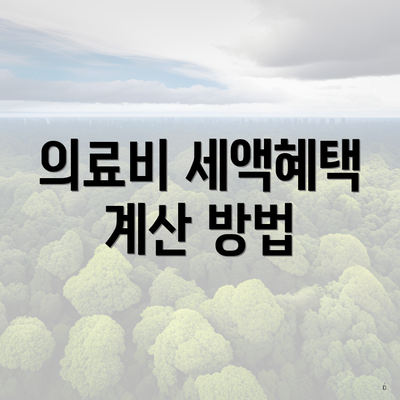 의료비 세액혜택 계산 방법