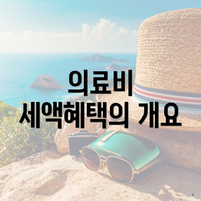 의료비 세액혜택의 개요