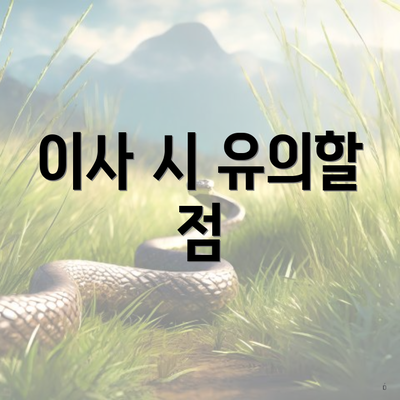 이사 시 유의할 점