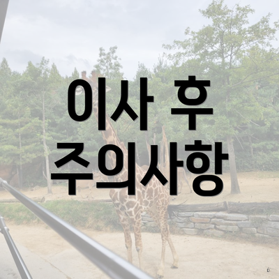 이사 후 주의사항