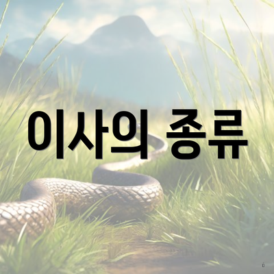 이사의 종류