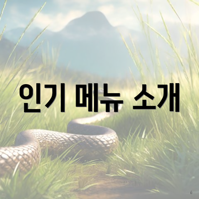 인기 메뉴 소개