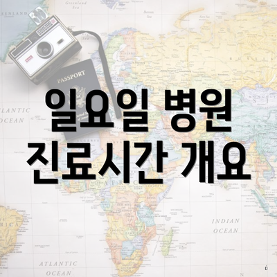 일요일 병원 진료시간 개요