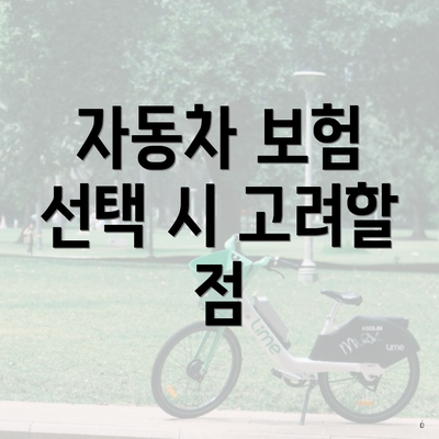 자동차 보험 선택 시 고려할 점