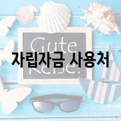 자립자금 사용처