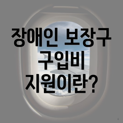 장애인 보장구 구입비 지원이란?