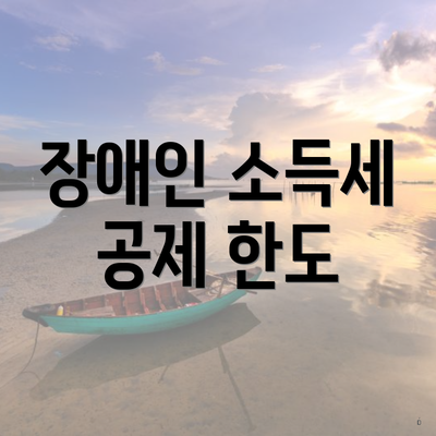 장애인 소득세 공제 한도