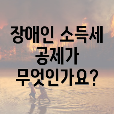 장애인 소득세 공제가 무엇인가요?