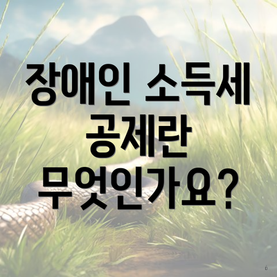 장애인 소득세 공제란 무엇인가요?
