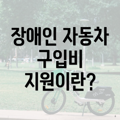 장애인 자동차 구입비 지원이란?