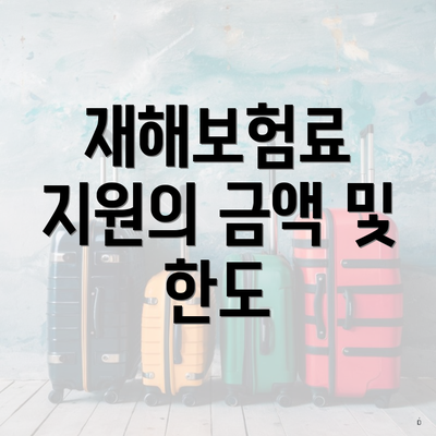 재해보험료 지원의 금액 및 한도