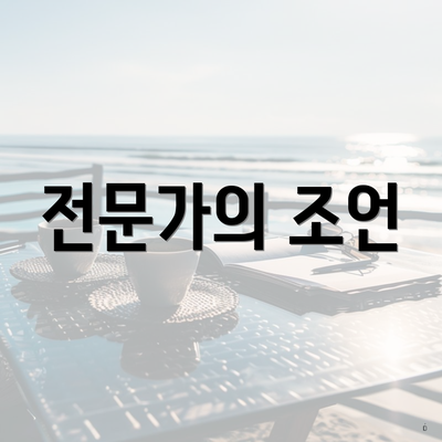 전문가의 조언