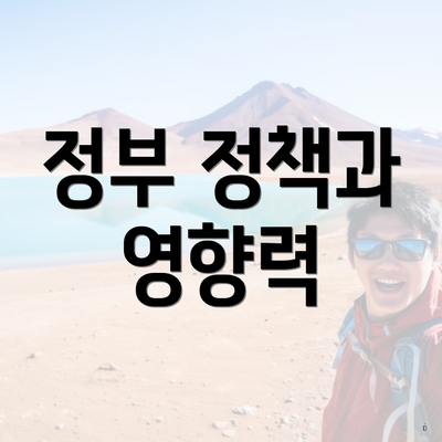 정부 정책과 영향력