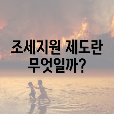 조세지원 제도란 무엇일까?