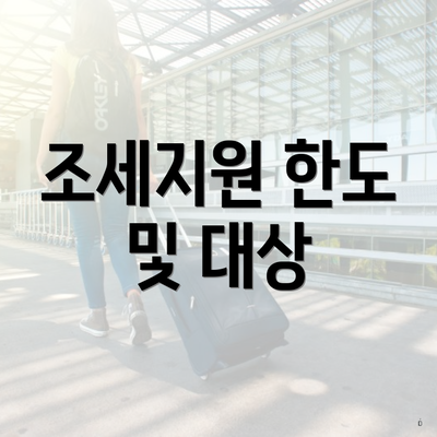 조세지원 한도 및 대상