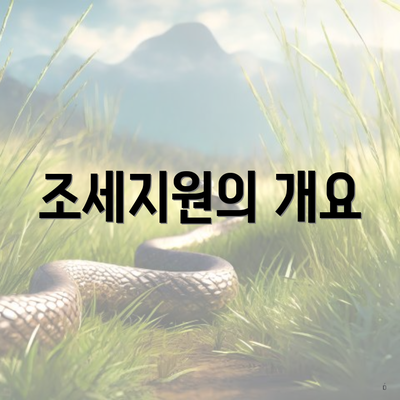 조세지원의 개요