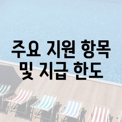 주요 지원 항목 및 지급 한도