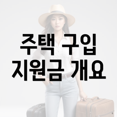 주택 구입 지원금 개요