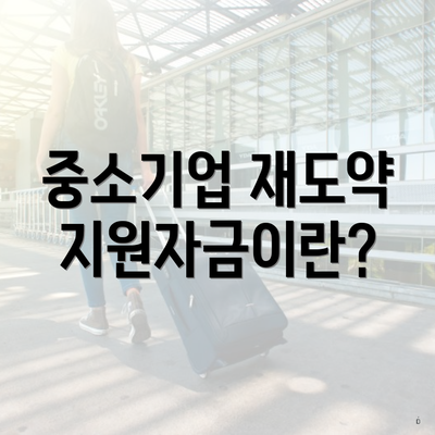 중소기업 재도약지원자금이란?