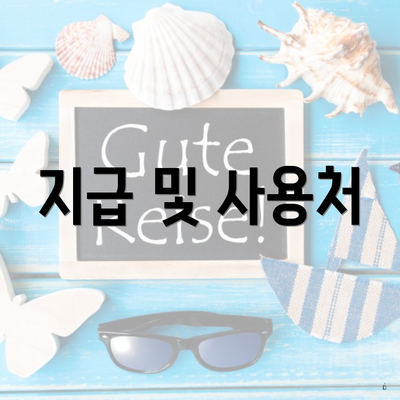 지급 및 사용처