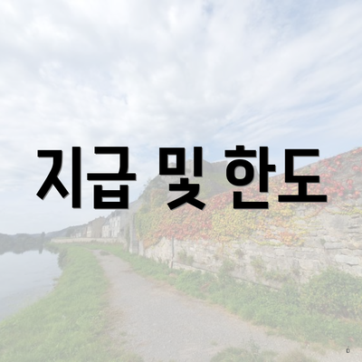 지급 및 한도