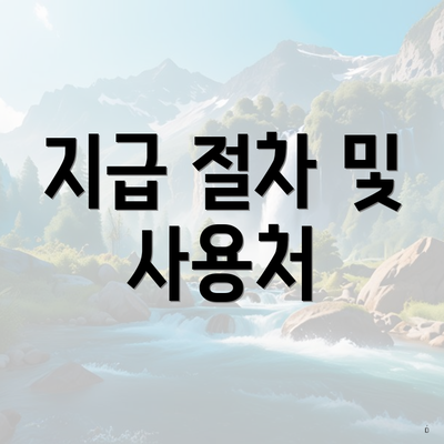 지급 절차 및 사용처