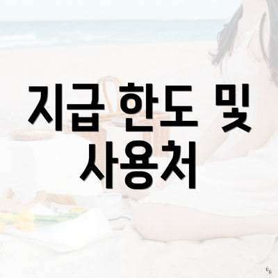 지급 한도 및 사용처