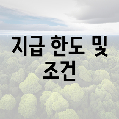 지급 한도 및 조건