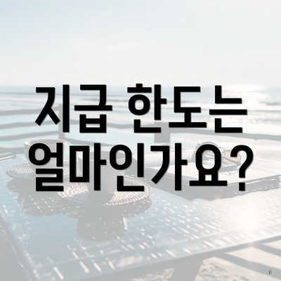 지급 한도는 얼마인가요?