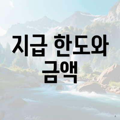 지급 한도와 금액