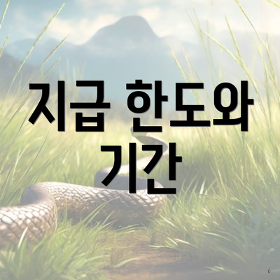 지급 한도와 기간
