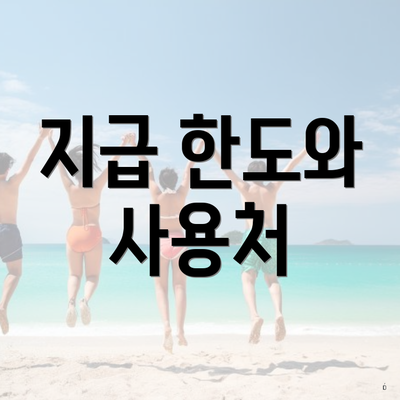 지급 한도와 사용처