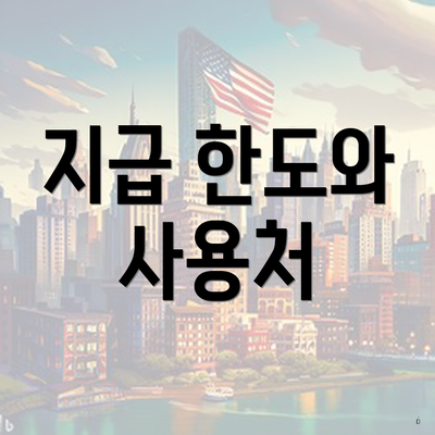 지급 한도와 사용처