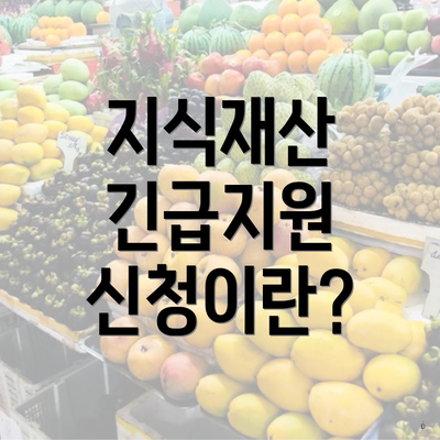 지식재산 긴급지원 신청이란?